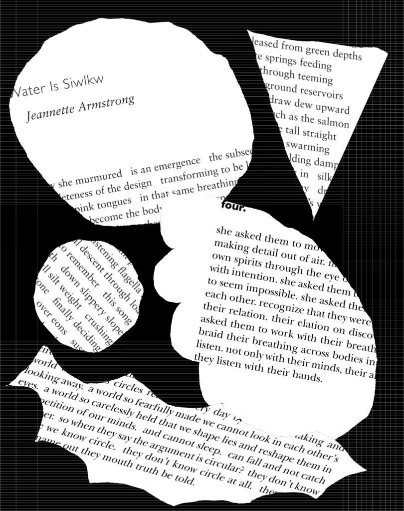 A digital collage of differently shaped cut out portions of text from two poems. The poems themselves are not legible persay, it is the effect of portioning and re-orienting bits and pieces that we intend to communicate in this image.